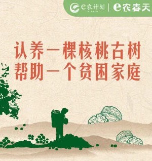 e農春天